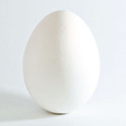 Поставка яиц с птицефабрик