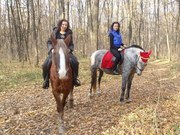 организация конных праздников,  коллективных прогулок на лошадях