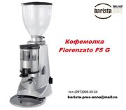 Профессиональная кофемолка Fiorenzato F5 G.