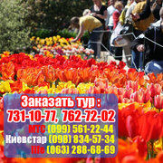 Парад тюльпанов из Харькова+парк Айвазовское+Вечерняя Ялта всего 540 грн