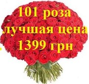 ШОК! Акция!!! Доставка цветов Харьков Букет из 101 розы всего 1399 грн