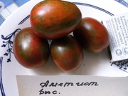Продам семена томатов (помидор) от 03.12.14