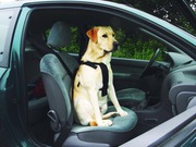 Pet Pro Шлея для собак В Автомобиль 75*90 см