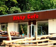 Незабываемый детский День Рождения в кафе Kitty в Харьковском зоопарке
