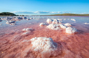 соль пищевая морская розовая