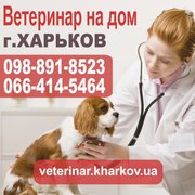 Вызов ветеринара на дом в Харькове