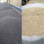 Пелети з дерева та лушпиння