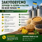 Закупка зернових,  олійних,  бобових. База,  некондиція
