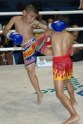 Тайский бокс,  Восточные танци,  Спортивные бальные танци